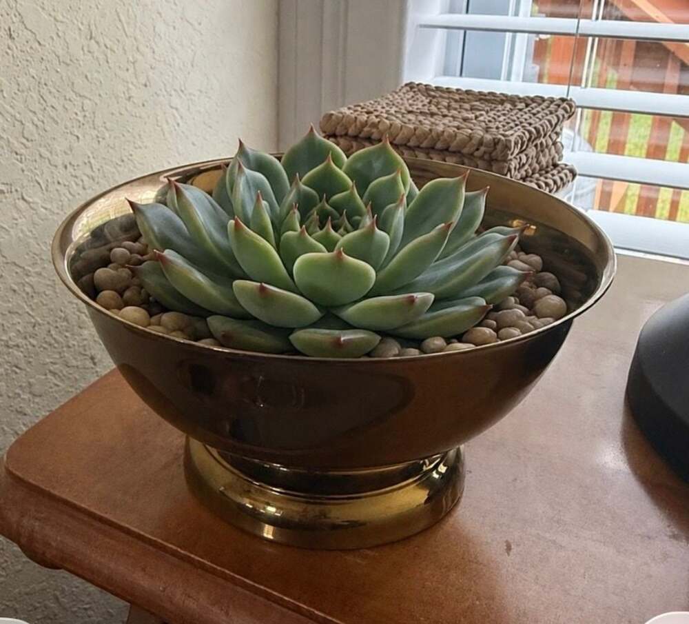 Vintage Baldwin Solid Brass Pedestal Bowl